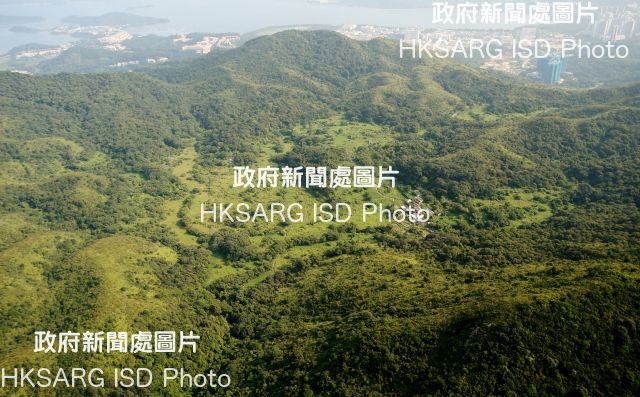 Sha Lo Tung has diverse habitat types including feng shui woodland, secondary woodland, agricultural land, grassland, shrubland, marshes and streams.
