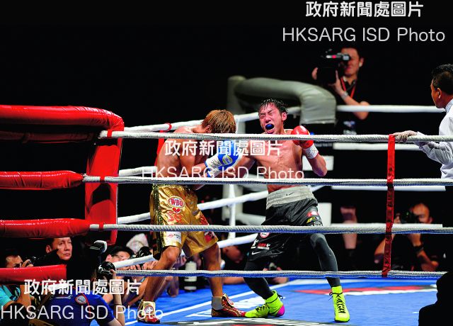 The year 2016 was most fruitful for the sons and daughters of Hong Kong. A prime example was Rex Tso the 'Wonder Kid', the professional boxer with 20 straight victories under his belt, including the October defeat of Ryuto Maekawa of Japan in the super flyweight contest, Battle of Victors, at HKCEC.