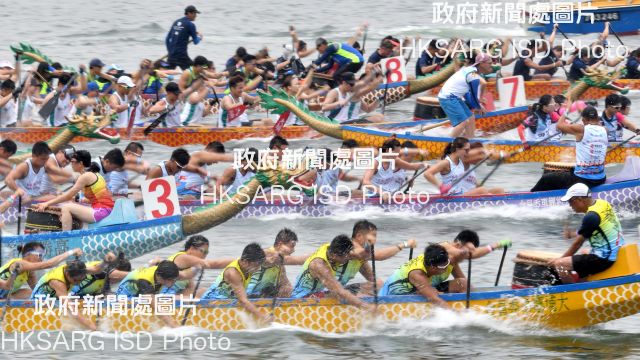 Tai Po District Dragon Boat Race